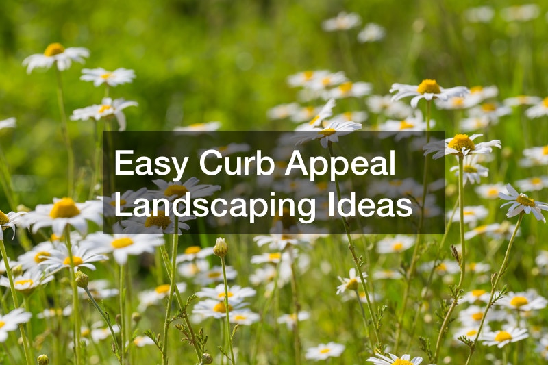 Easy Curb Appeal Landscaping Ideas