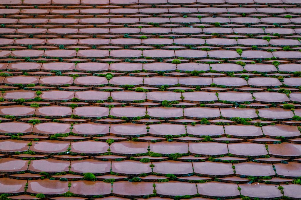 tiled roof with moss