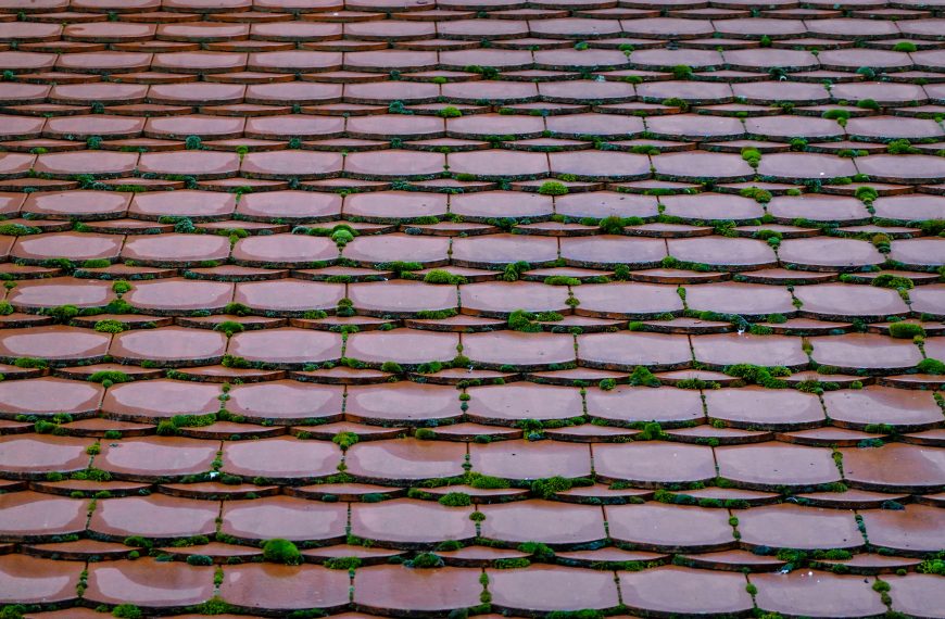 tiled roof with moss
